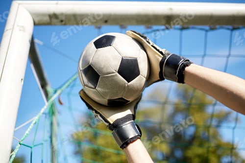 Vista previa: goalkeeper with ball at football goal on field