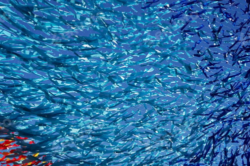 Preview: Abstract Background And Texture Closeup From Blue Tapes Of Fabric Or From Textile Material