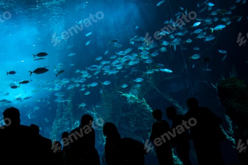 Preview: People watching fish swimming in large aquarium tank