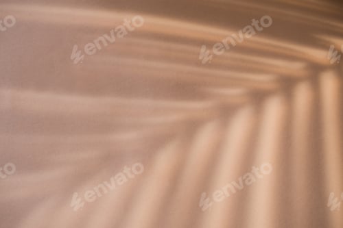 Preview: Shadow of palm leaf on natural earthy colors background. Creative drawing of light and shadow