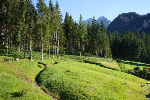 Preview: Mountain landscape at Santo Stefano di Cadore