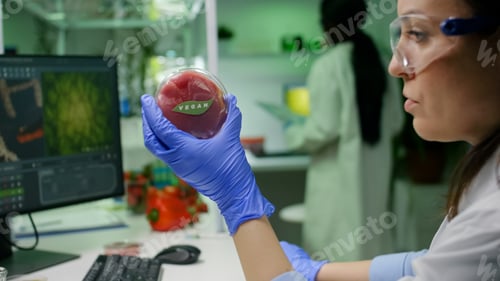 Preview: Biologist researcher looking at plant based beef substitute for vegetarien people