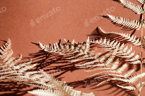 Preview: Floral composition of dyed branch fern on drown background with deep shadow. Botany styled.