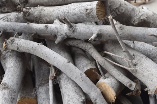 Preview: Closeup shot of a pile of stacked grey cut tree limbs