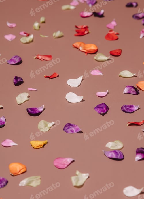 Preview: buttercup flowers petals on brown background. Above view