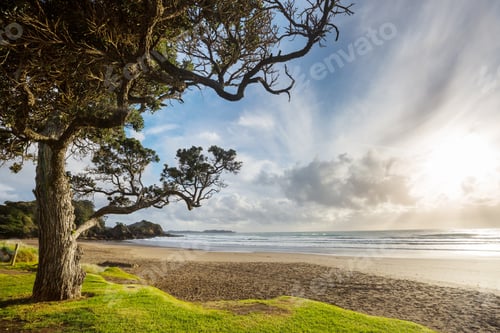 Preview: New Zealand coast