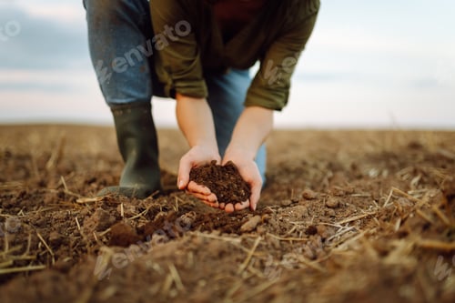 Preview: Close-up of a woman farmer's hands holding fresh soil. Agriculture, gardening concept.
