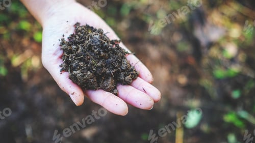 Preview: Closeup image of a woman holding and showing arable soil in hand