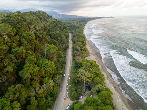 Preview: View of a scenic coastal road with lush green forest on one side and the ocean on the other
