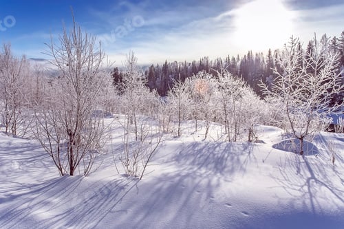 Preview: Winter snowy snag near a river , Russia, Siberia Altai