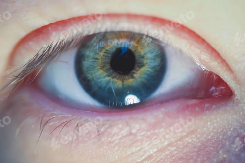 Preview: Macro shot of a blue eye