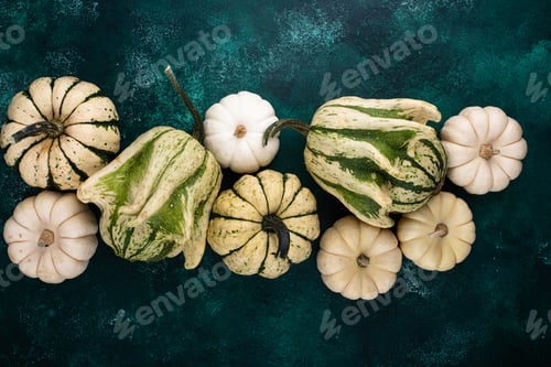 Preview: Autumn fall background with pumpkins