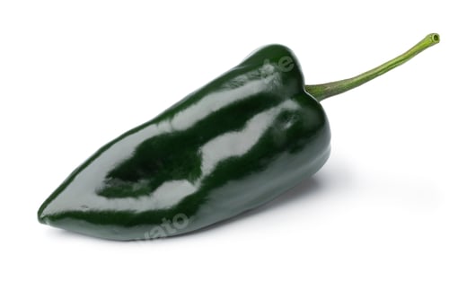 Preview: Single fresh green Mexican Poblano Pepper on white background