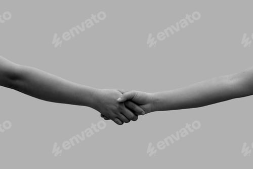 Preview: Handshake between the two partners. Black and white image. Female hand monochrome.