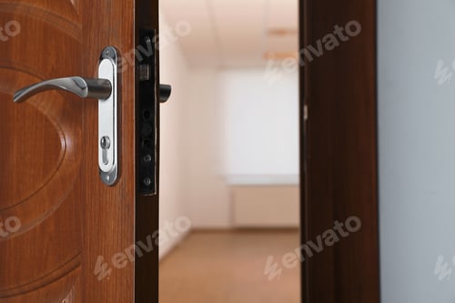 Preview: Open modern door to empty light room