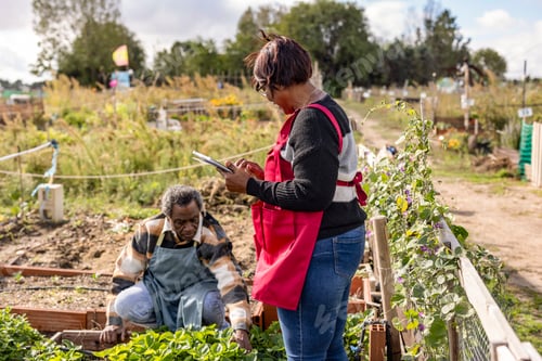 Preview: Happy elderly couple carrying fresh vegetables