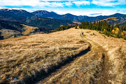 Preview: A winding path leading far into the hills of the Carpathian nature among the forests