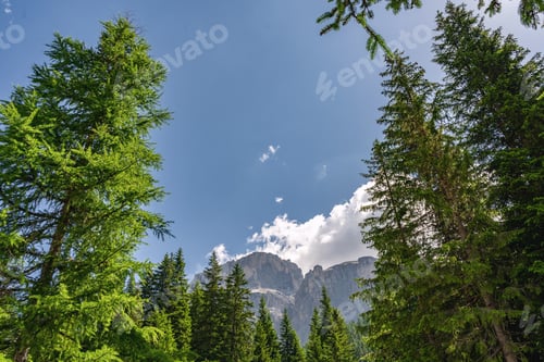 Preview: Scenic landscape with high rocky mountain and forest