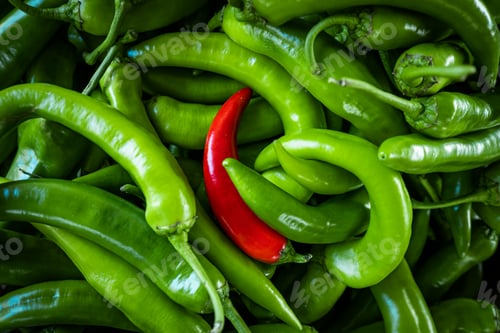 Preview: Raw Green Organic Serrano Peppers. green chili peppers