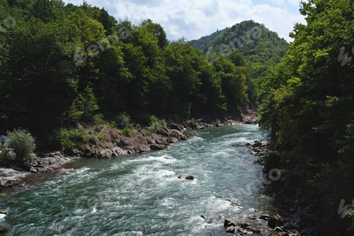 Preview: Mountain river in forest
