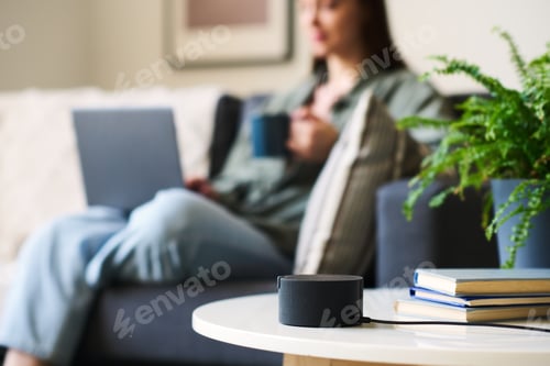 Preview: Using smart speaker in the room