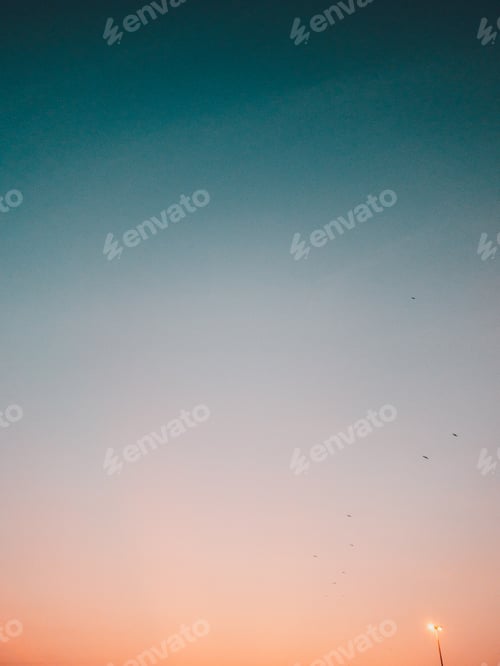 Preview: Vertical shot of birds flying in indigo and blue sky during sunset