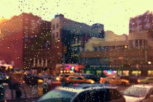 Preview: Rainy window