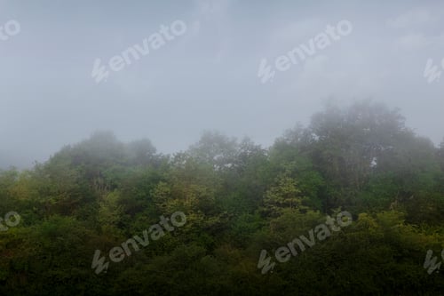 Preview: Fog in the countryside