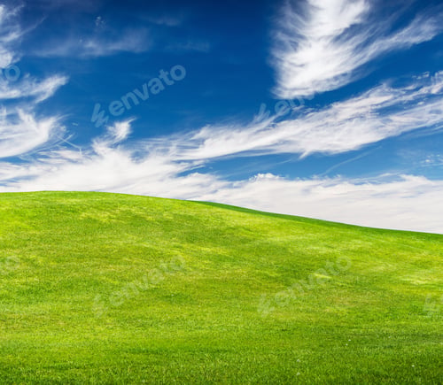 Preview: Summer landscape with meadow and scenic sky