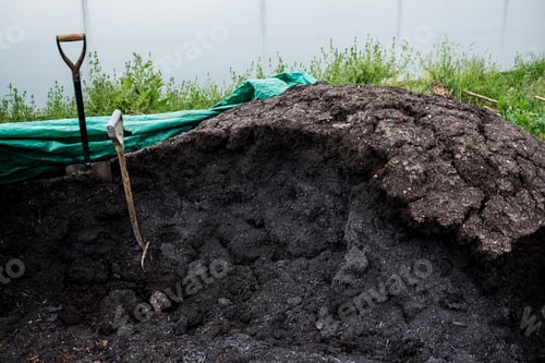Preview: Two pitchforks in a heap of manure on a farm.