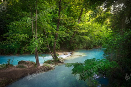 Preview: Elsa River and trees along the Sentierelsa trail. Colle di Val d'Elsa, Tuscany, Italy