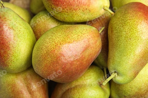 Preview: Many ripe juicy pears as background, closeup