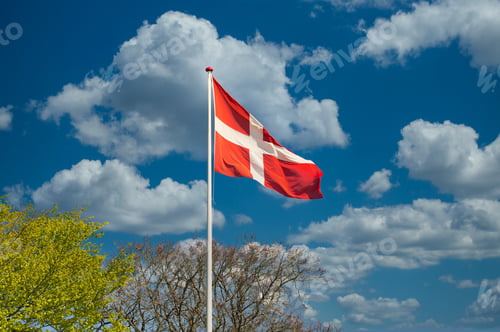 Preview: Waving flag of Denmark on a pipe in a field under the sunlight and a blue sky