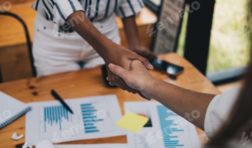 Preview: Female hands shaking at meeting making partnership deal, businesswomen handshaking as concept of