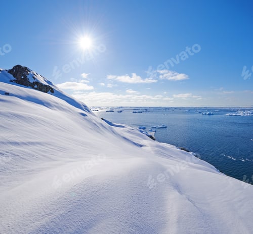 Preview: Arctic beauty