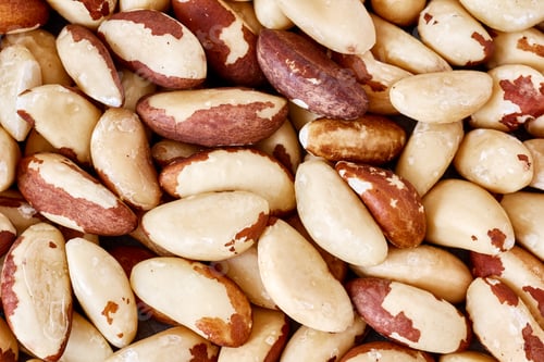 Preview: Close up picture of Brazil nuts.