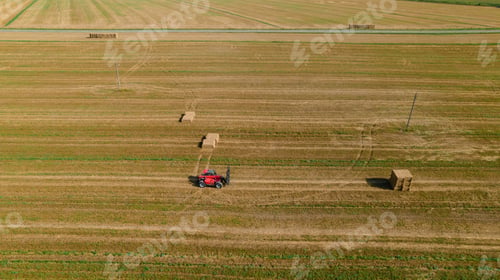 Preview: Agricultural tractor collect wheat straw into briket for transportation. Aerial view