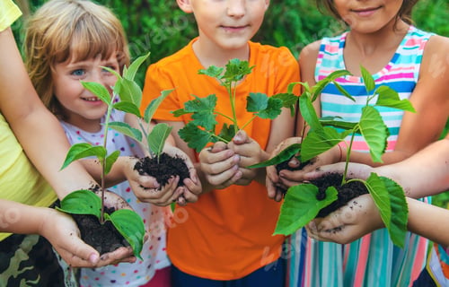 Preview: Children watch plant trees, hold in their hands. Selective focus.