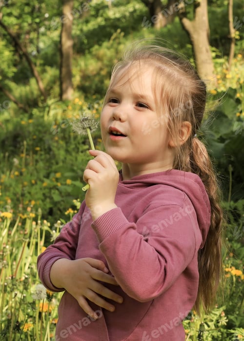 Preview: A little cute happy girl blows on a dandelion in a park in nature in summer