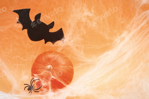 Preview: Halloween pumpkin with spider web, bat and black spiders on orange background.