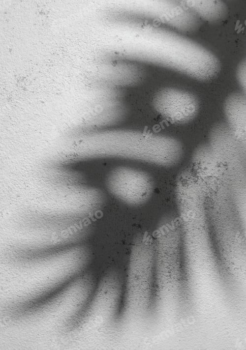 Preview: Shadow of a Fern Leaf Cast on a Textured White Wall During Daylight
