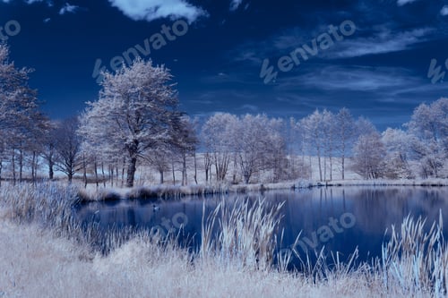 Preview: Scenic infrared landscape of lush green grass with several trees surrounding the lake