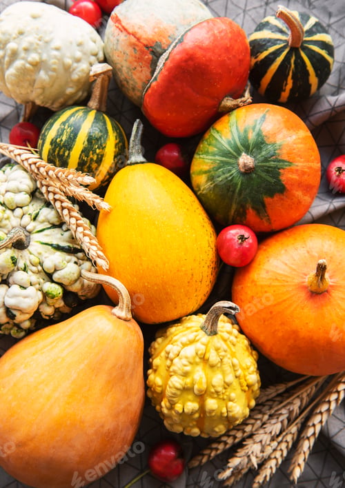 Preview: Pumpkins