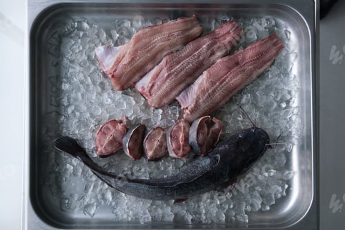 Preview: Fresh fish fillet on ice.