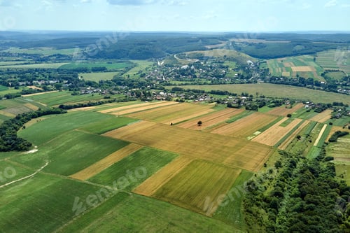 Preview: Aerial landscape view of green and yellow cultivated agricultural fields with growing crops
