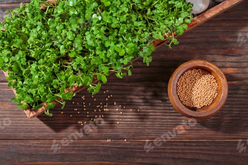 Preview: Green Living with Mustard Microgreens
