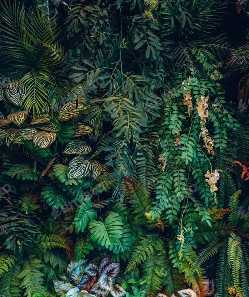 Preview: Close-up of a group of green leaves, providing a textured and abstract nature background.
