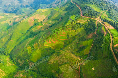 Preview: Paddy rice terraces, green agricultural fields in countryside of mountain hills valley, Vietnam.