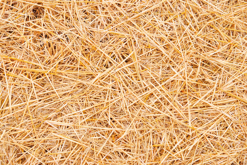 Preview: straw background.