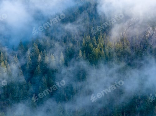 Preview: Misty Forest Cliffs Shrouded in Fog Over Dense Evergreen Trees in Howe Sound, BC